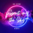 Spirit in the Sky (Dr Jaymz Remix)
