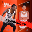 Mary Nantayiro ft.Pallaso-Password