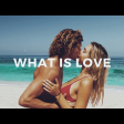 Max Oazo feat. Camishe - What Is Love (T.I.M Remix)
